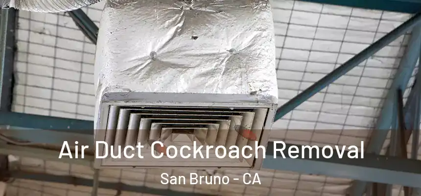 Air Duct Cockroach Removal San Bruno - CA