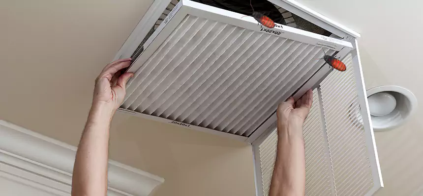 Preventive Cockroach-Proofing for Ducts in San Bruno