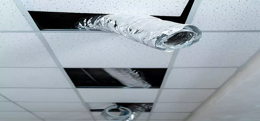 Affordable HVAC Sanitizing After Pest Removal in San Bruno