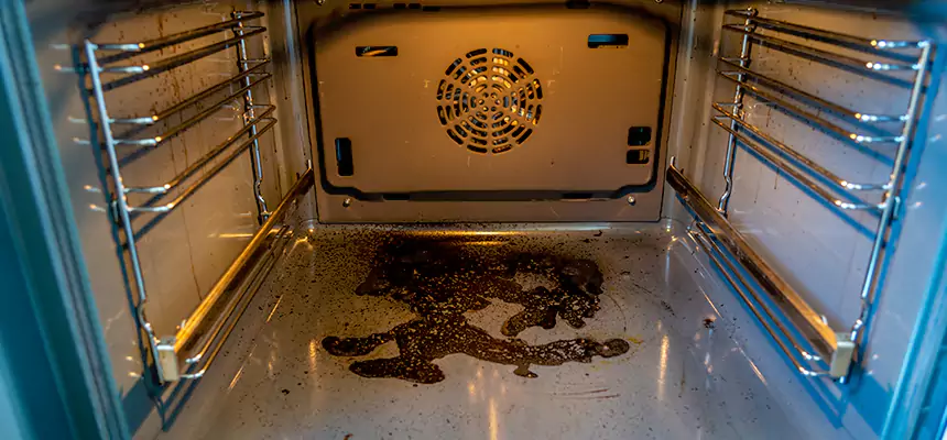 Our Dryer Vent Mold Cleaning Services in San Bruno, CA