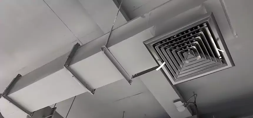 Our Pest Removal From Ducts Services in San Bruno, CA