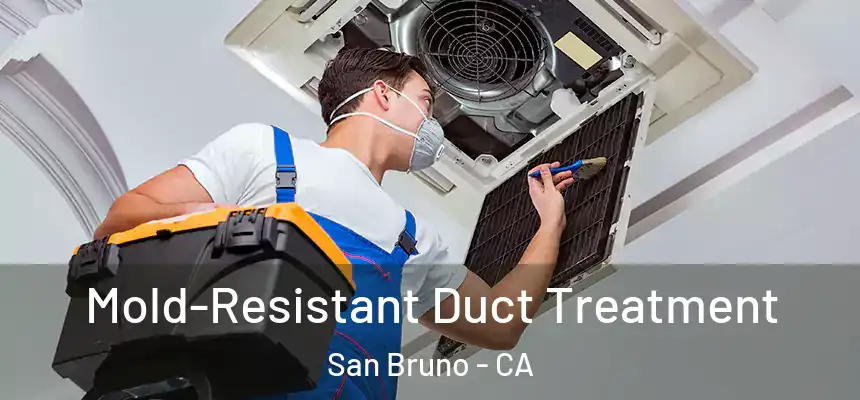  Mold-Resistant Duct Treatment San Bruno - CA