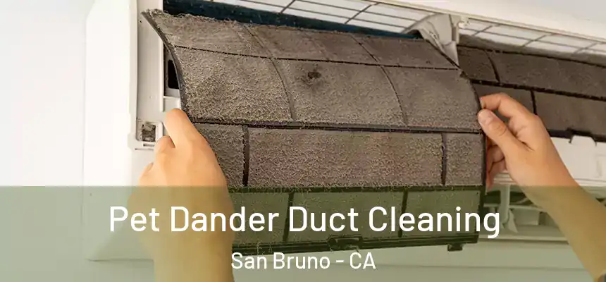  Pet Dander Duct Cleaning San Bruno - CA