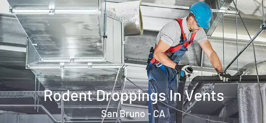  Rodent Droppings In Vents San Bruno - CA
