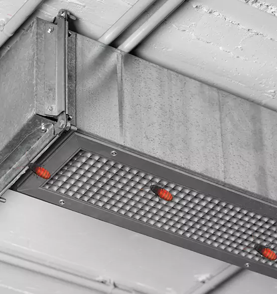 About Air Duct Cockroach Removal in San Bruno, CA