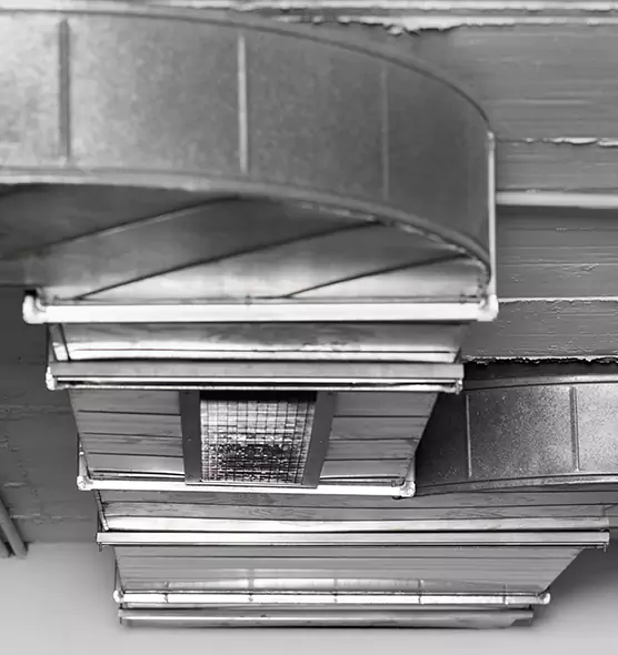 Professional Air Duct Pest Removal in San Bruno, CA