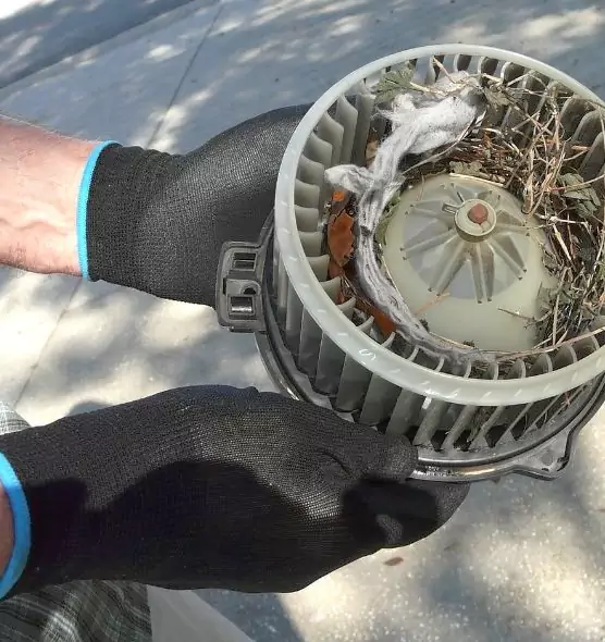 About Air Duct Rat Removal in San Bruno, CA