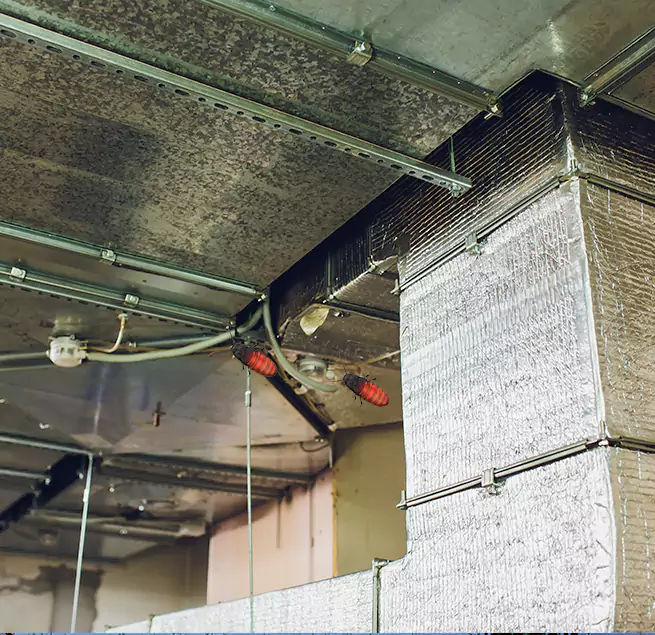 Why Homeowners & Businesses Trust Us in San Bruno, CA?