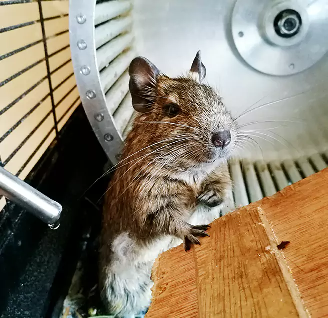 Why Homeowners & Businesses Trust Us San Bruno, CA