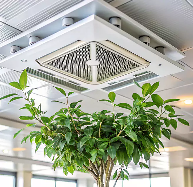 Why Homeowners & Businesses Trust Us in San Bruno, CA