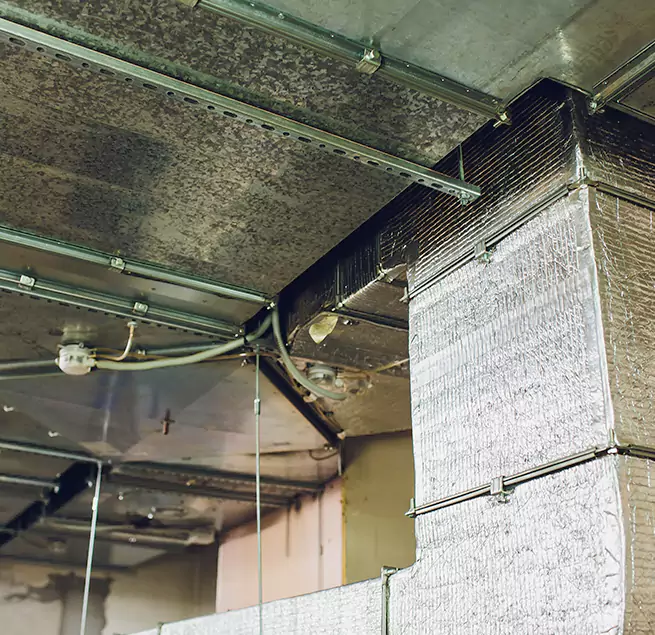 Why Homeowners & Businesses Trust Us in San Bruno, CA?